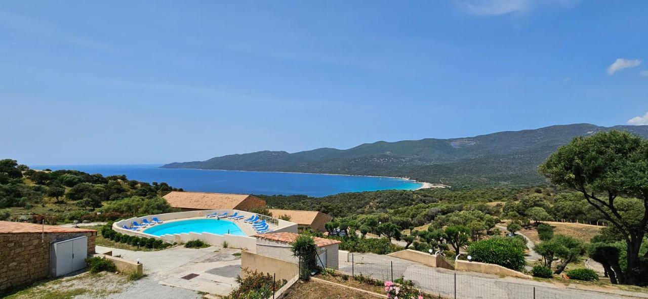 Chalereux T2 Vue Mer Et Piscine Alba Rossa Serra-di-Ferro  Exteriör bild