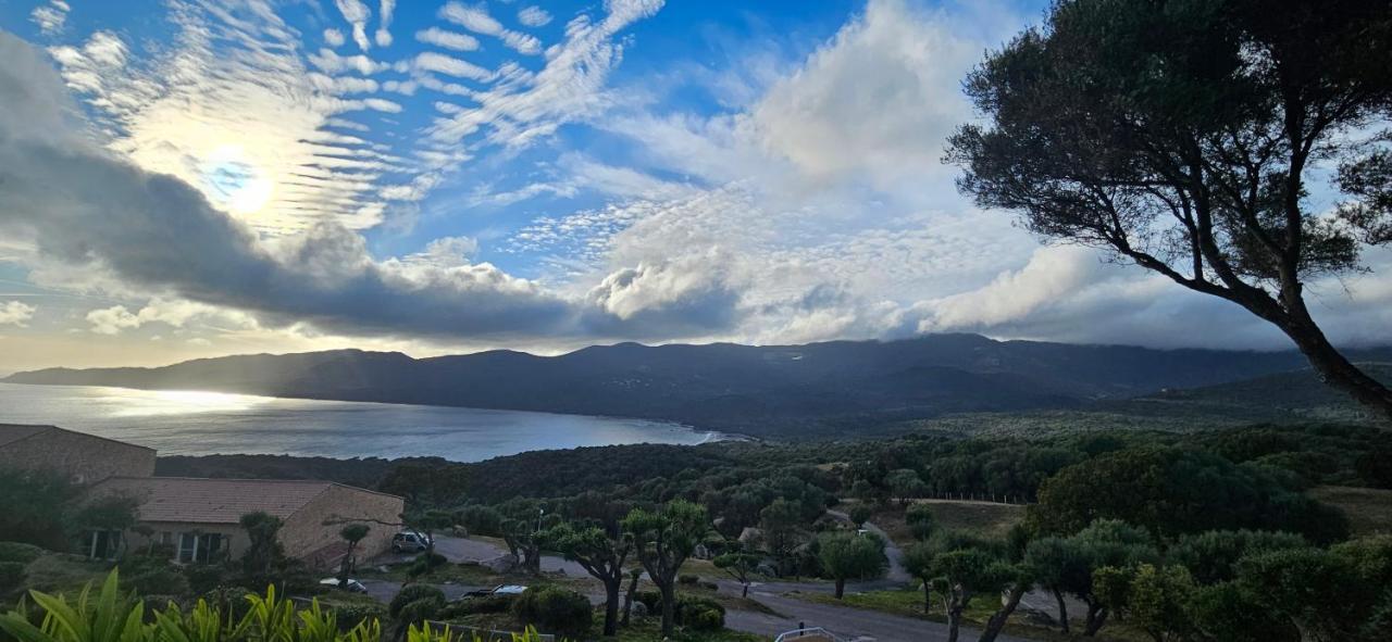 Chalereux T2 Vue Mer Et Piscine Alba Rossa Serra-di-Ferro  Exteriör bild