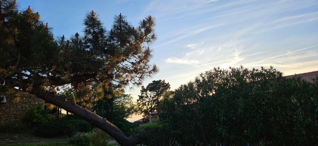 Chalereux T2 Vue Mer Et Piscine Alba Rossa Serra-di-Ferro  Exteriör bild